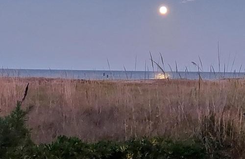 Marina di Vasto Apartment | Appartamento fronte mare costa dei trabocchi