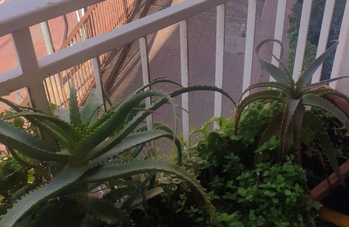 Iglesias Historic Centre Apartment | Appartamento in Centro con Parcheggio Privato