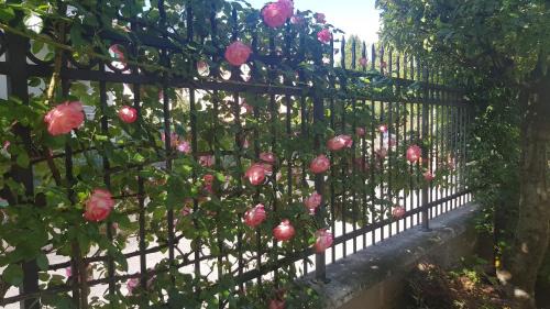 Peschiera del Garda Apartment | Appartamento Modenese 8