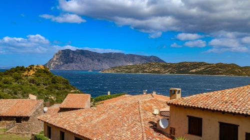 Capo Coda Cavallo Apartment | Appartamento Mare Nostrum - Vista Mare & A/C