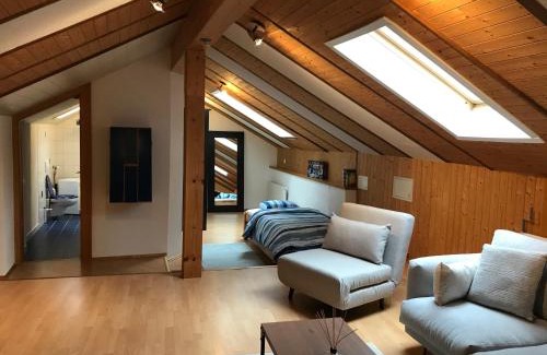 Giubiasco Apartment | Appartamento Morobbia