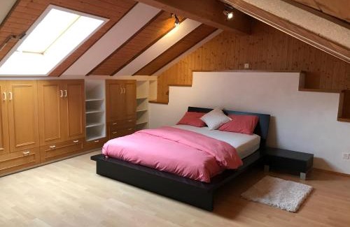 Giubiasco Apartment | Appartamento Morobbia