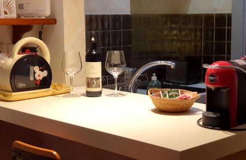 Oltrarno Apartment | appartamento pontevecchio