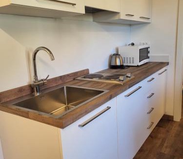 Passo del Tonale Apartment | Appartamento San Bartolomeo