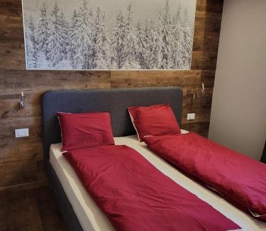 Passo del Tonale Apartment | Appartamento San Bartolomeo