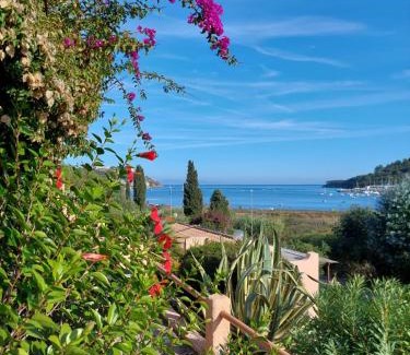 Mola Apartment | Appartamento Skipper