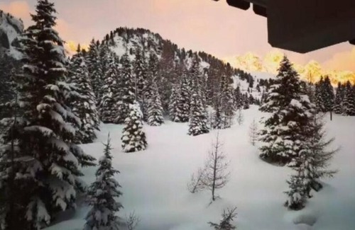 San Pellegrino Pass Apartment | Appartamento sulle piste da sci