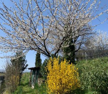 Coldrerio Apartment | Appartamento TieMi