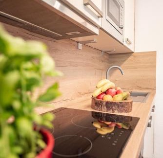 Fusch an der Grossglocknerstrasse Apartment | Appartement Gimpl