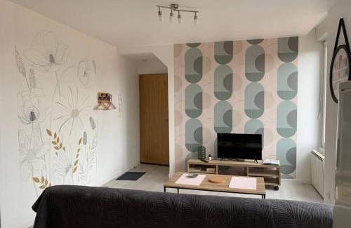 Saint-Brisson-sur-Loire Apartment | Appartement avec cour