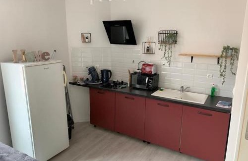 Saint-Brisson-sur-Loire Apartment | Appartement avec cour