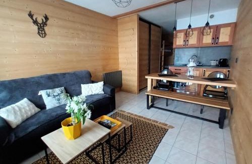 Saint-Michel-de-Chaillol Apartment | appartement montagne- le petit Chaillol