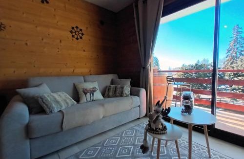 Saint-Michel-de-Chaillol Apartment | Appartement montagne LE FLOCON