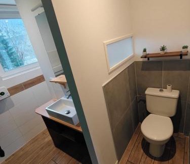 Saulxures-sur-Moselotte Apartment | Appartement Balnéo vue sur cascade