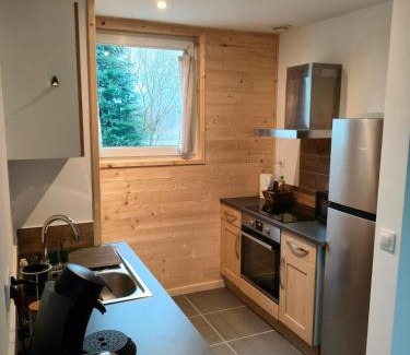 Saulxures-sur-Moselotte Apartment | Appartement Balnéo vue sur cascade