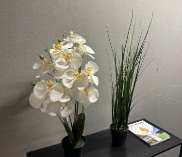 Montigny-le-Bretonneux Apartment | Appartement Claudel Netflix Saint Quentin en Yvelines