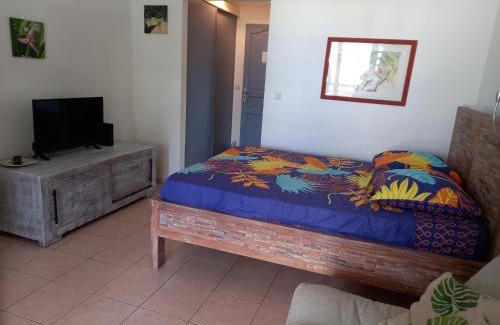 Quartier Desert Apartment | Appartement à Anse Mabouya en rez de jardin avec piscine à proximité des plages
