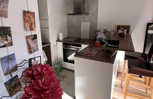 Rosny-sous-Bois Apartment | Appartement 2 Chambres Proche Paris