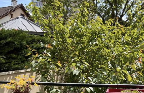 Rosny-sous-Bois Apartment | Appartement 2 Chambres Proche Paris