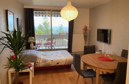 Montrichard Val de Cher Apartment | Appartement 2 P 5 PER ENTRE BEAUVAL & CHENONCEAU