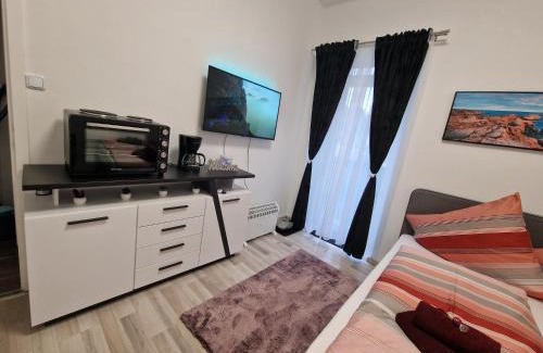 Bad Aussee Apartment | Appartement 223