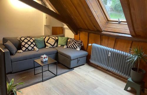 Le Hohwald Apartment | Appartement 3 pieces centre du Hohwald # 201