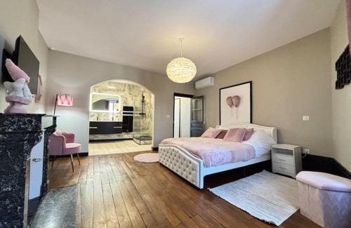 Limoges Apartment | Appartement 4 Climatisé cocon romantique au cœur de Limoges