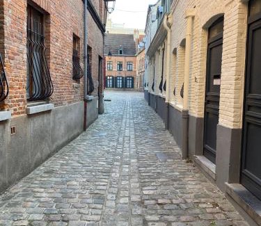 Lille Centre Ville Apartment | Appartement 50 m2 avec Rooftop Lille Centre