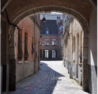 Lille Centre Ville Apartment | Appartement 50 m2 avec Rooftop Lille Centre