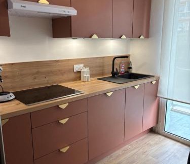 Plaine de la Brague Apartment | Appartement 5min de la plage