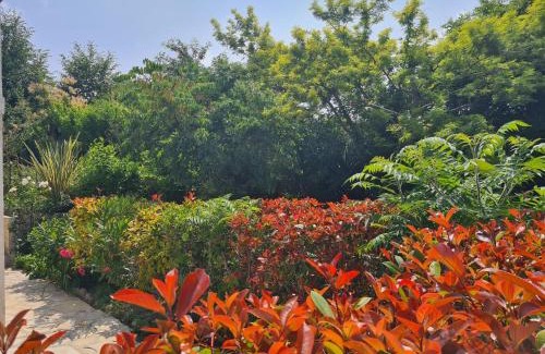 Saint-Paul-de-Vence Apartment | Appartement Alpes Maritimes
