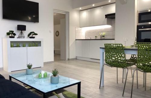 Lourdes Apartment | Appartement Altea 85 m2 climatisé parking proche Sanctuaires