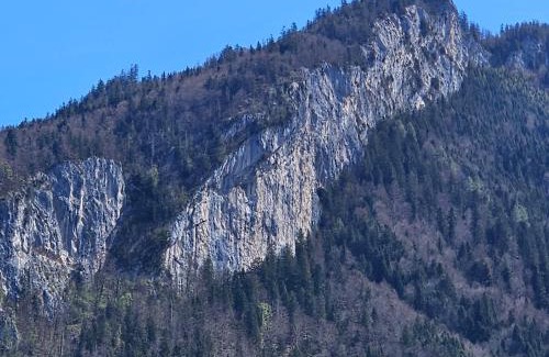 Bad Goisern Apartment | Appartement Am-Wildpfad