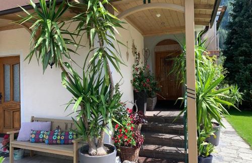 Muhlbach im Pinzgau Apartment | Appartement Brandner