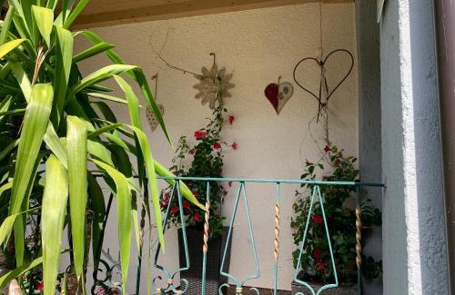 Muhlbach im Pinzgau Apartment | Appartement Brandner