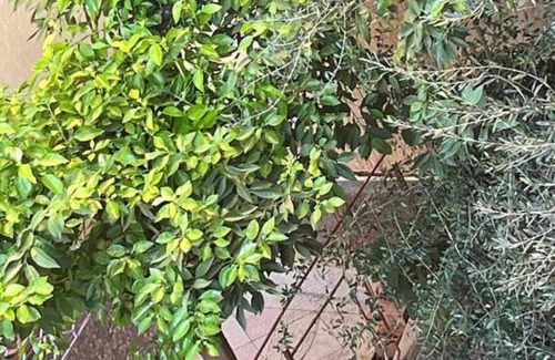 Meknes Apartment | Appartement au calme