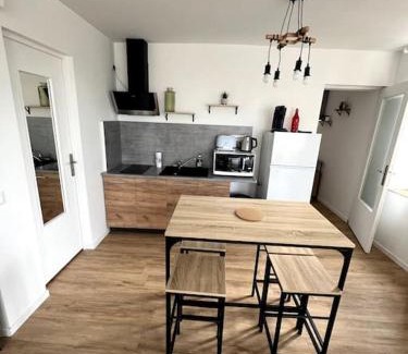 Ouzouer-sur-Trezee Apartment | Appartement avec belle vue