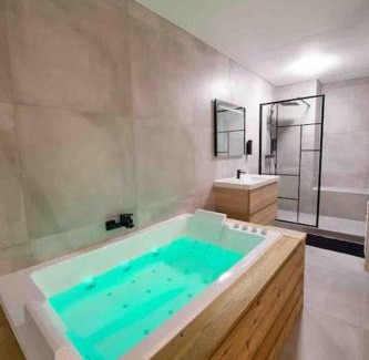 Republique - Tolstoi Apartment | appartement avec jaccuzzi 15 min du centre de lyon