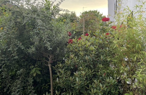 Montrouge Apartment | Appartement Avec Jardin Plein sud Idéal Famille Jeunes Enfants