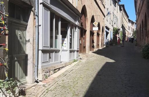 Cordes-sur-Ciel Apartment | APPARTEMENT BACCHUS