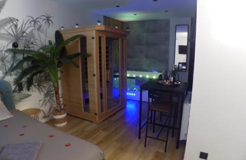 Richebourg - Saint-Clement Apartment | Appartement balnéothérapie et sauna hyper centre