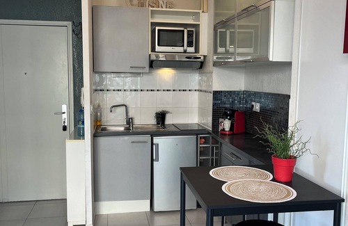 Croix-d'Argent Apartment | Appartement Belle Terrasse à Montpellier