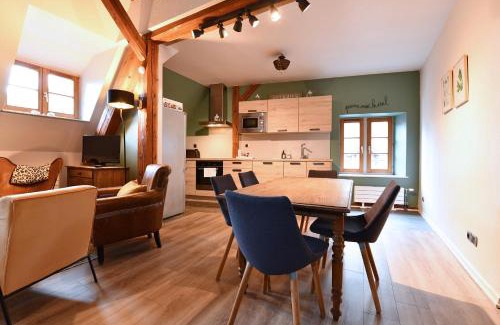 Colmar Centre Ville Apartment | Appartement Beraweka avec Climatisation et Salle de Sport