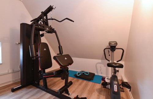 Colmar Centre Ville Apartment | Appartement Beraweka avec Climatisation et Salle de Sport