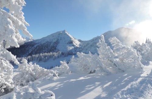 Gleiming Apartment | Appartement Bergblick