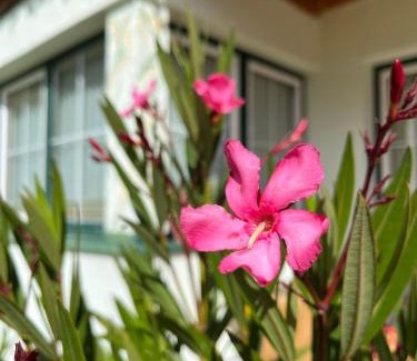Soelden Apartment | Appartement Bichl