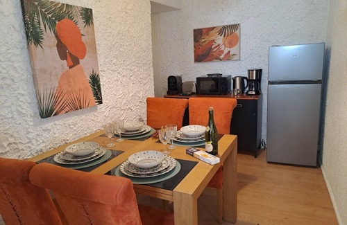 Saint-Pol-de-Leon Apartment | Appartement Centre Ville Dans une Authentique Demeure Bretonne du XVI ème