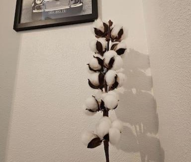 Lievin Apartment | Appartement calme