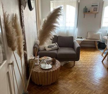 Saint-Etienne Apartment | Appartement Carmes, hypercentre