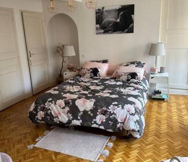Saint-Etienne Apartment | Appartement Carmes, hypercentre